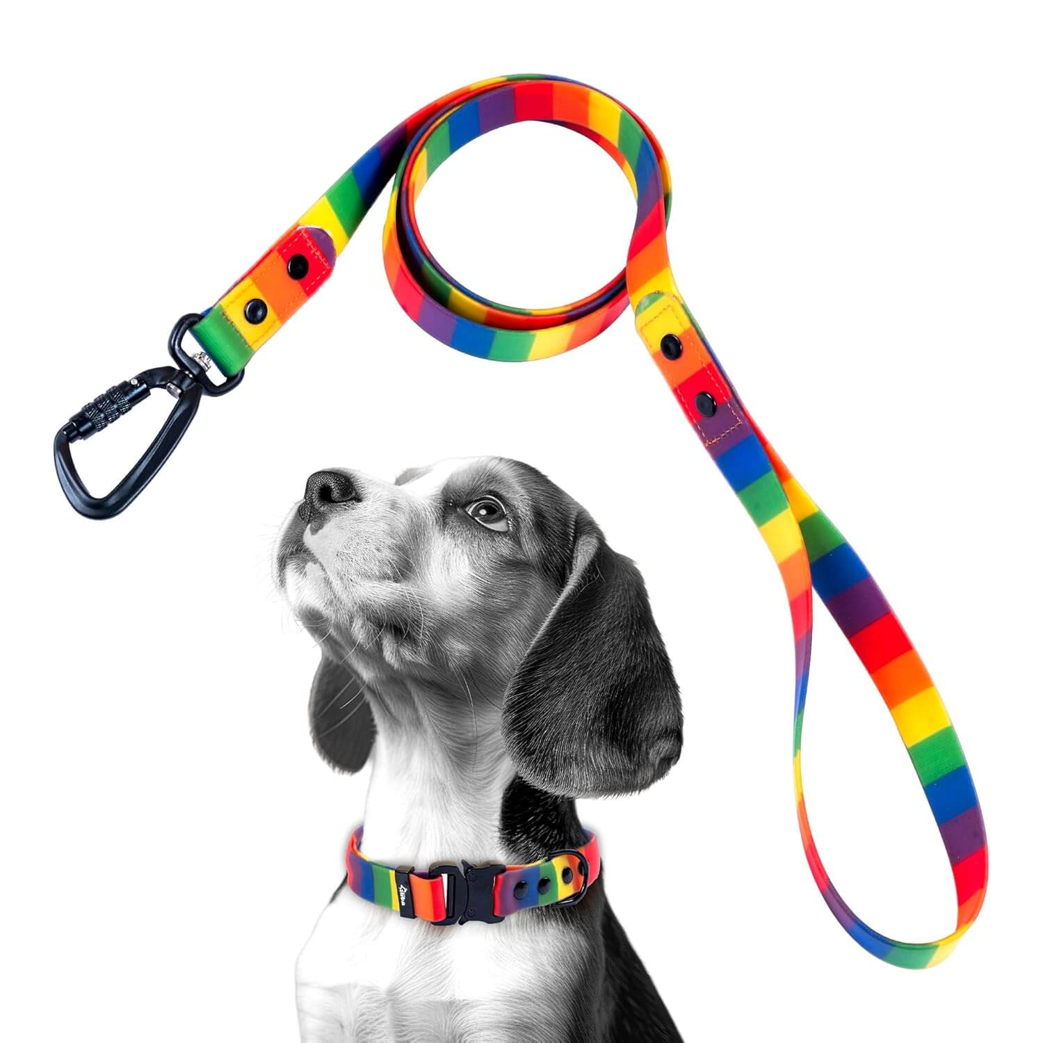 Adil’s Rainbow Dog Leash – Biothane Waterproof Leashes for Dogs, Metal Hook, Adjustable Length & Neck Girth Suitable for Dogs & Puppies of All Breeds Ideal for Walking, Running & Training